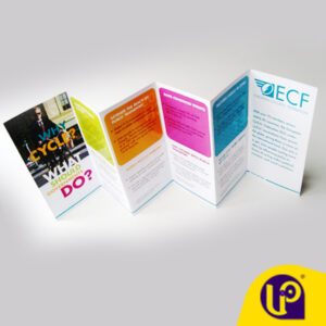 DÉPLIANT SPÉCIAL – 5 à 6 VOLETS