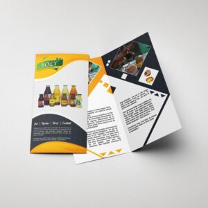 FLYER DL 2 VOLETS CLASSIC