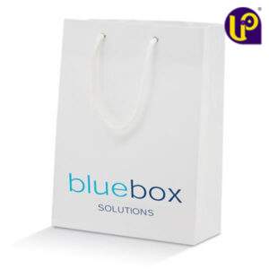 SAC SHOPPING PAPIER KRAFT ECO MINI