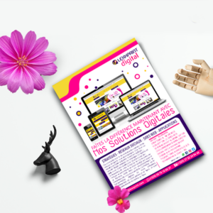 500 FLYERS TRIUMPH A5 (R)