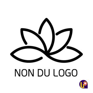 Logo boost 25000f-04